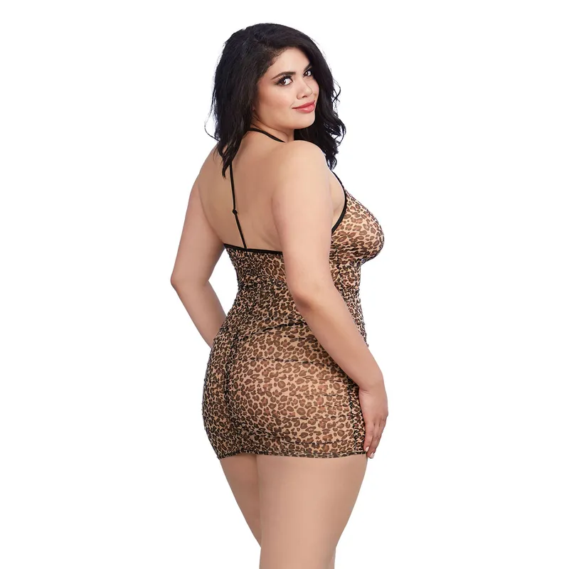 Chemise DR11842 leopard S/L von Dreamgirl